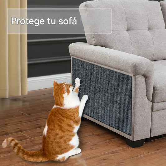 Alfombra Resistente A Los Aranazos